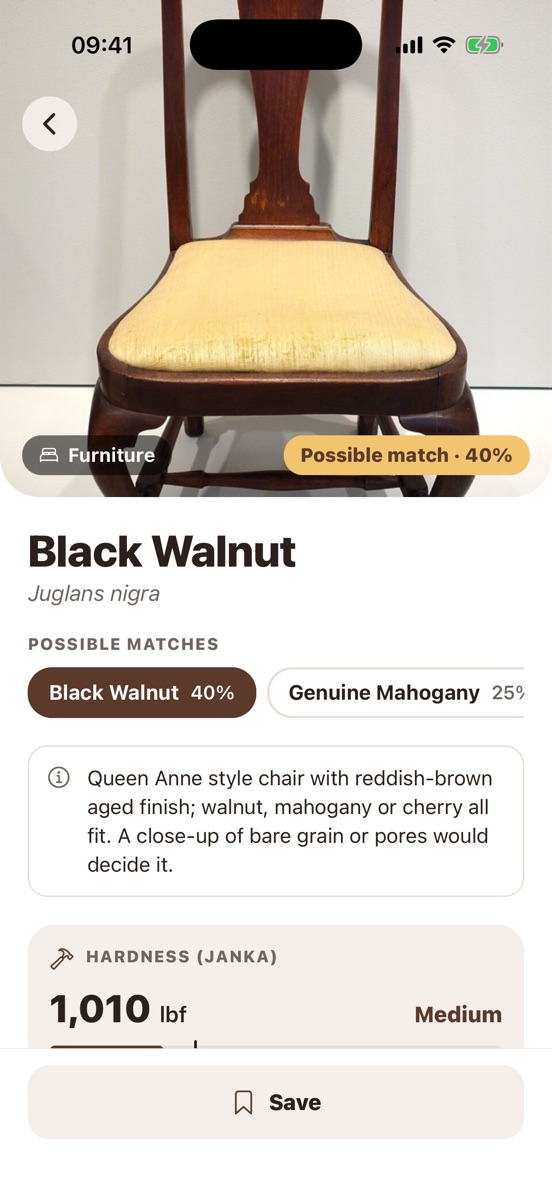 Result: walnut chair, possible match 40%, with advice to photograph bare grain